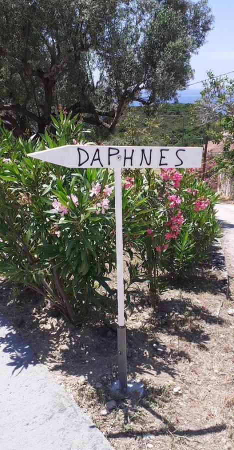 Daphnes Apartments Ratzaklíon المظهر الخارجي الصورة